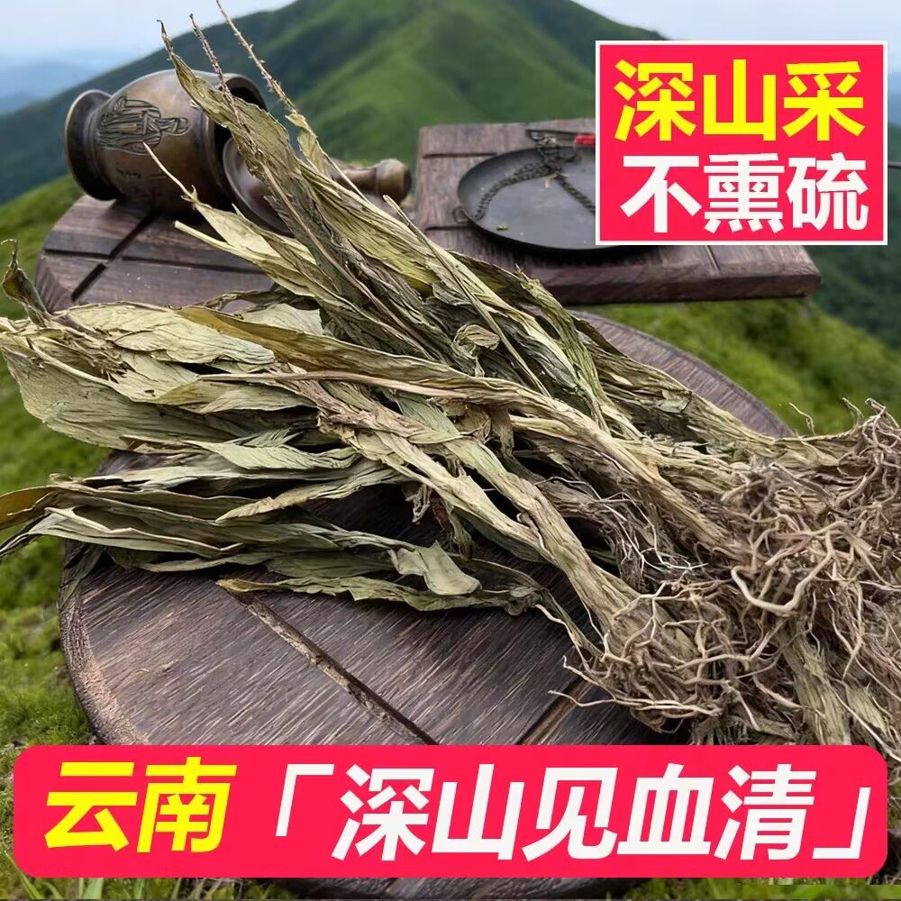 云南野货见血清草药中草药材羊耳蒜立地好新鲜生晾干无添加500g