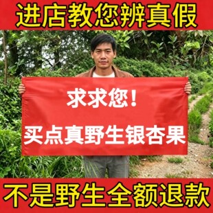 深山野生白果银杏果干货中草药材新鲜煲汤煮粥正品香料药材白果仁
