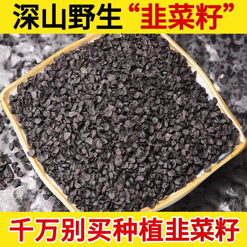 【真野生】今年新货老韭菜籽500g