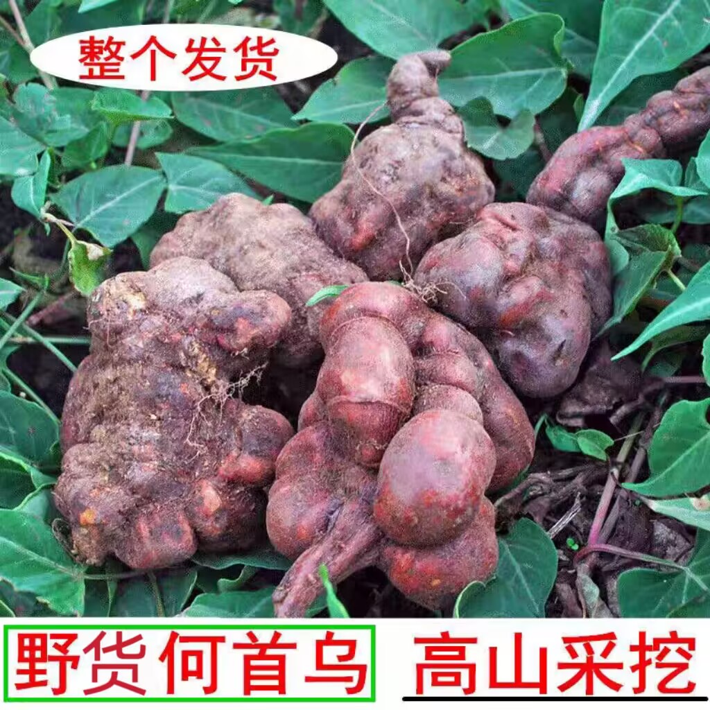 【5斤装】贵州野黑何首乌新鲜生首乌首乌生干片磨粉正品新货药材