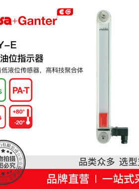 Elesa Ganter伊莉莎冈特 HCY-E 电控油位指示器 聚合体