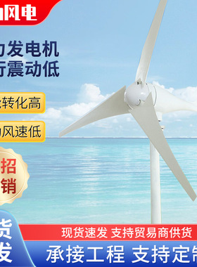 风力发电机家用500W24v风力发电机设备风力发电机路灯600W48V永磁