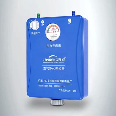 沼气净化调控器家用脱硫除臭增压气表H沼气过滤提纯机沼气池配件