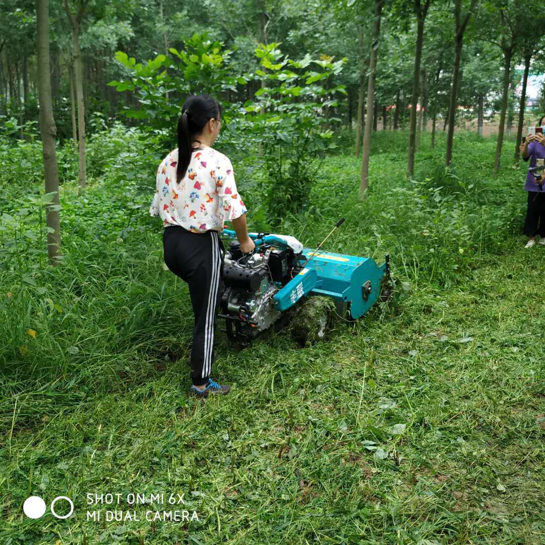 自走式果园碎草旱田机 大马力柴油动力割草机 农用小型打草除草机 农机/农具/农膜 播种栽苗器/地膜机 原图主图