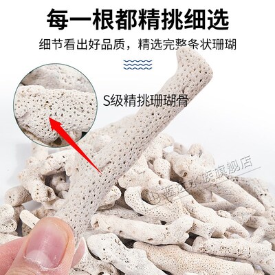 速发纯珊瑚骨鱼缸过滤材料净化珊瑚石造景骨底砂水族箱砂装饰滤材