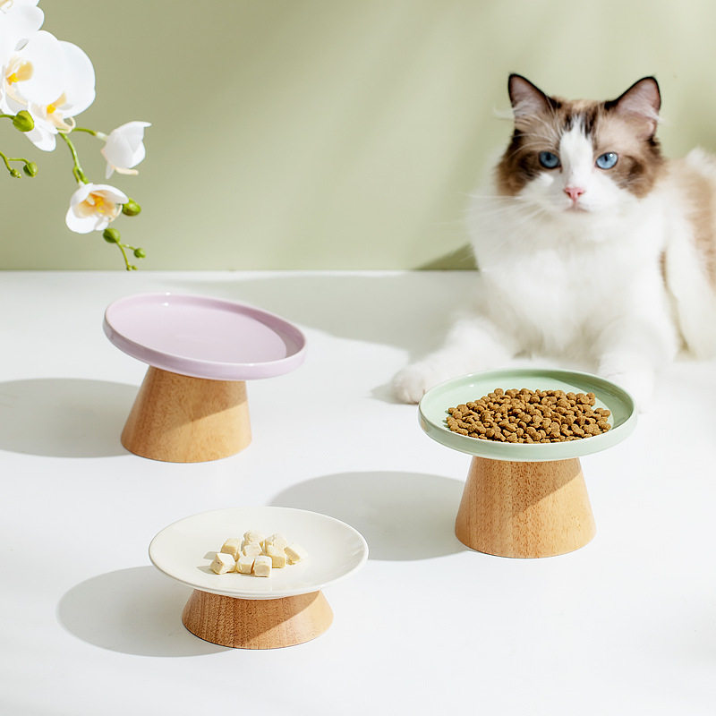 姜小宠陶瓷高低脚防翻猫餐盘