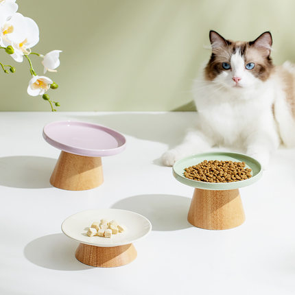 姜小宠陶瓷高低脚防翻猫碗冻干猫粮零食罐头保护颈椎不长霉好清理