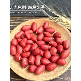 2023年新红皮花生米新鲜农家生花生晒干不带壳小花生原味下酒包邮