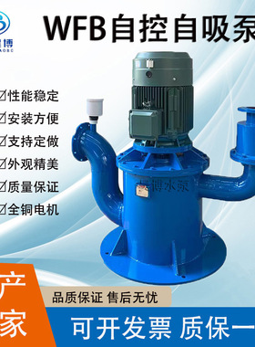 无密封自控自吸泵 WFB立式不锈钢污水泵 350WFB腐蚀性排污泵泵