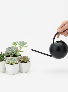 不锈钢洒水壶迷你家用室内植物淋花喷壶小号黑色长嘴浇花壶400ML