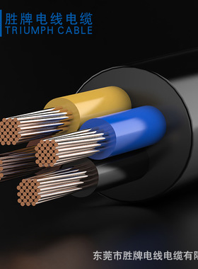 欧标 东莞胜牌厂家直销 低烟无卤H07ZZ-F2*2.5MM CE护套线