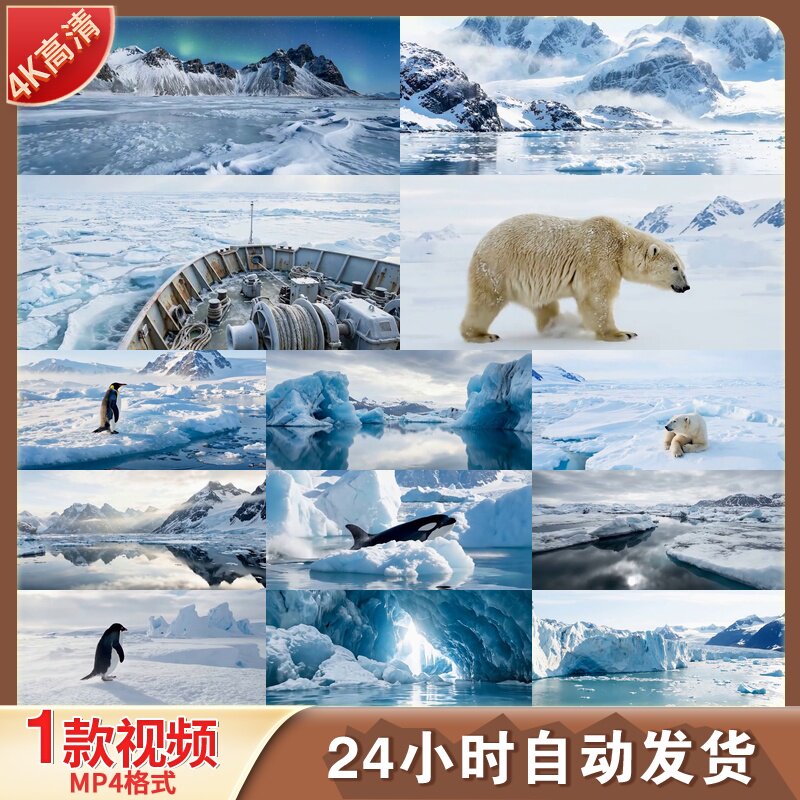 高清南极北极破冰船探险冰川企鹅北极熊冰山极地航行视频素材