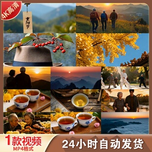 高清重阳节老人登高节菊花酒插茱萸敬老爱老夕阳红秋景视频素材