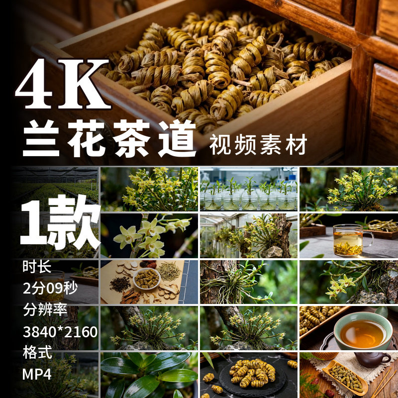 高清野生铁皮花种植基地原创4K中草药枫斗茶视频素材