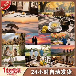 高清九九重阳节敬老爱老登高赏菊老人夕阳背影老年夫妻视频素材
