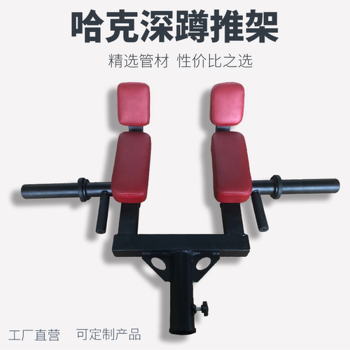 多功能推举硬拉深蹲核心力量