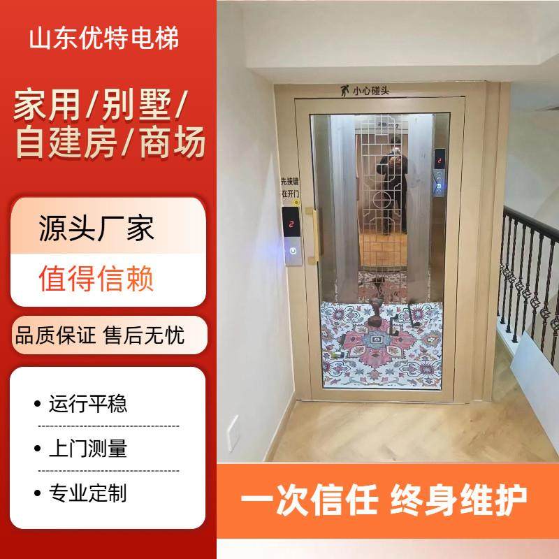 家用电梯别墅梯液压曳引小型电梯观光梯自建房二层三层四层升降机