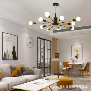 北欧简约吊灯现代客厅卧室餐厅创意个性 实木黑色家用木艺魔豆灯具