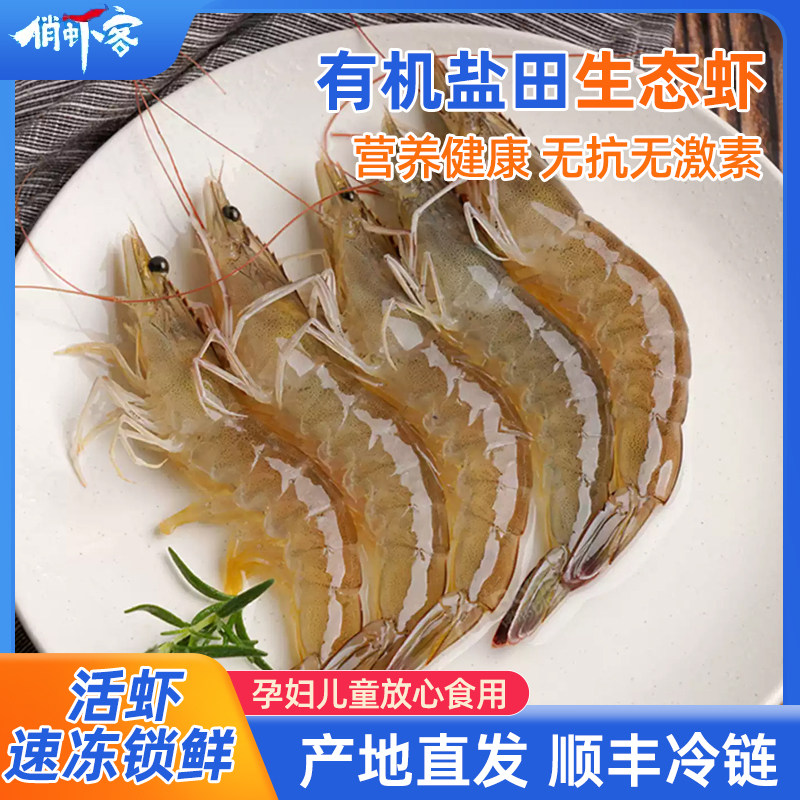 俏虾客渤海水产盐田有机大虾生虾无抗生素无添加孕妇儿童营养虾食