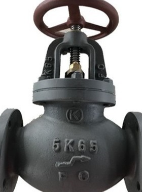 广州越海供应船用日标铸铁截止止回阀直通 JIS F7353 5K
