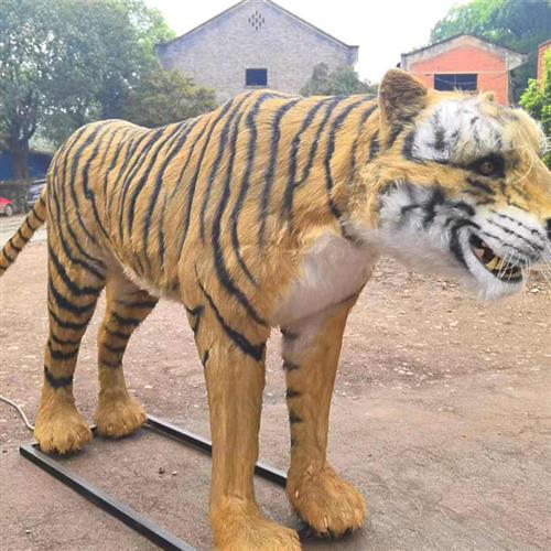 大型仿真恐龙大象动物模型电动会动会叫雕塑龙城文化厂家直销