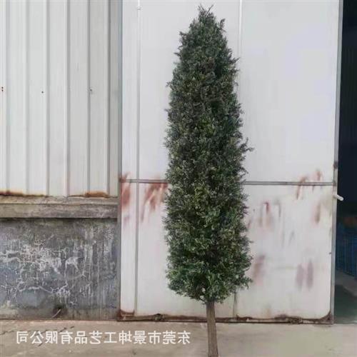 仿真松柏树高仿真塔形树松柏树婚礼布置仿真道具酒店家居仿真绿植图片