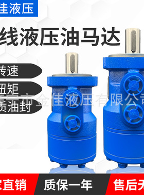 源头厂家摆线液压马达BMR BM2 OMR绞车液压马达低速大扭矩油马达