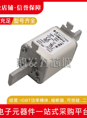 170M3444 170M3445 170M3446 170M3447 170M3448全新熔断器现货