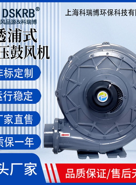 热能设备配套DSKRB透浦式鼓风机 材质铸铝 低噪音中压风机