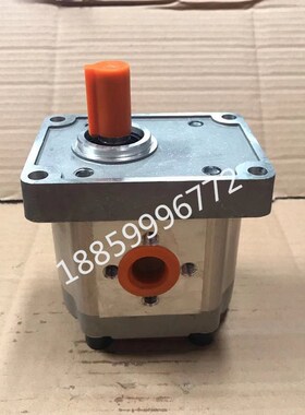 高压齿轮泵 25MPA CBN-F304 306 310 314 316 320 325 SUORUI