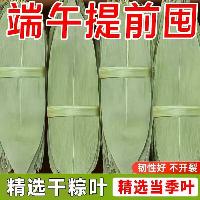 【巨划算】新鲜粽叶大叶干粽叶包粽子叶野生天然棕叶干粽叶