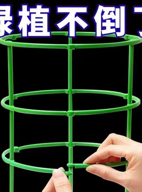 花架子室内家用支架通用型蟹爪兰花架莲花护叶架园艺盆栽支撑杆