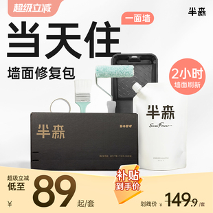 【价保一年,买贵退差】半森墙面修复包脏污破损翻新乳胶漆无甲醛