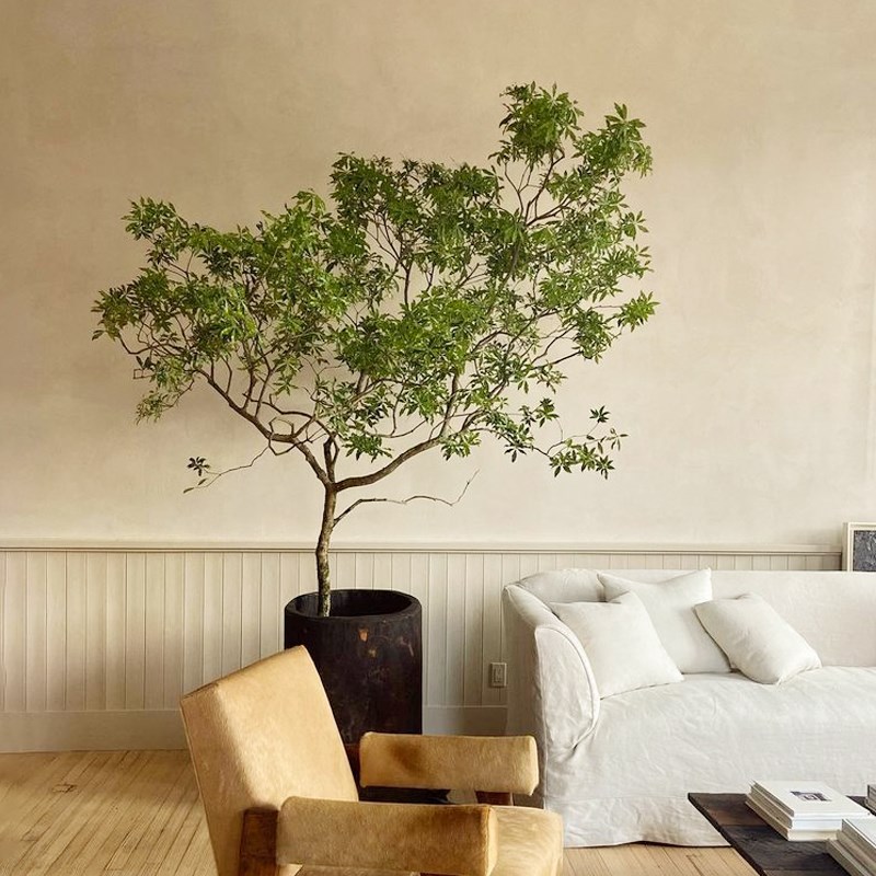 仿真绿植室内高端轻奢黄s荆树仿生植物假树落地盆栽真树杆装饰摆