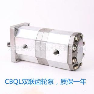 A2FL 双联齿轮泵CBK1016 CBK1016 A1FL A3FL