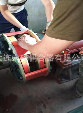 供应磁力偶合器YCOX500耦合器选