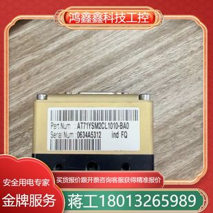 BAO有 工业视觉摄像头AT71YSM2CL1010 1个