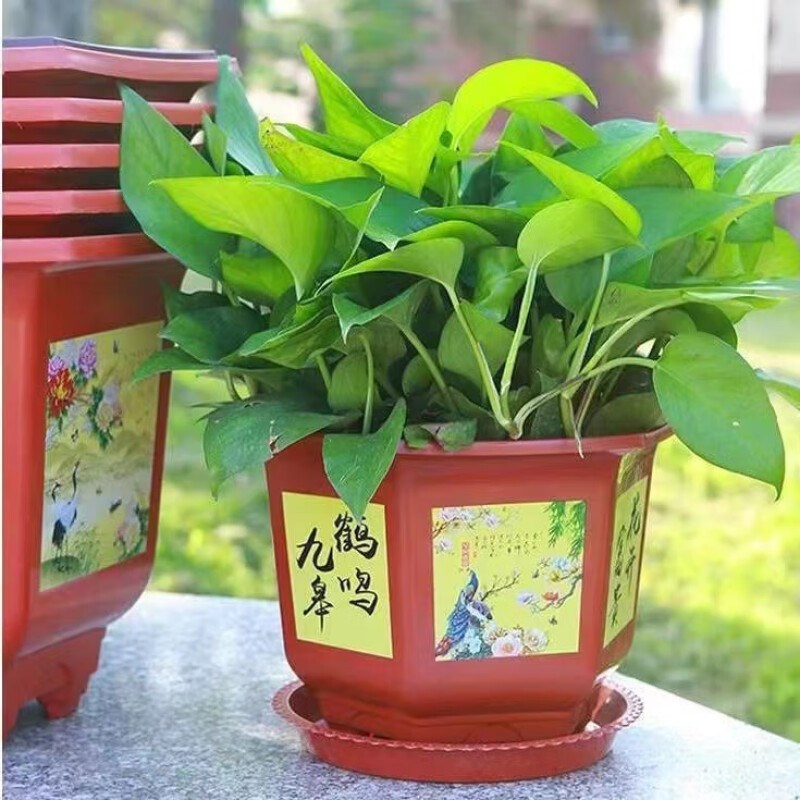 速发六角塑料花盆仿陶瓷家庭古典庭院种植防摔耐晒种树花盆大号送