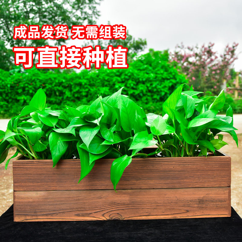 速发防腐木花箱长方形碳化实木花盆园艺室绿多外台户肉内植种菜花