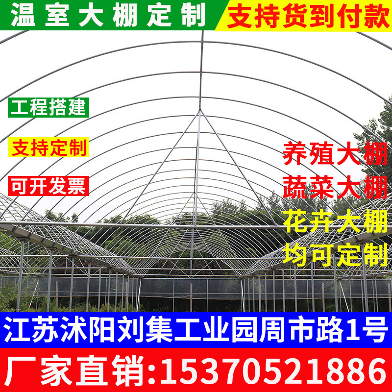 速发养猪温室搭d建养殖连连体鹅栋管架钢骨鸡舍草莓大棚简易椭圆