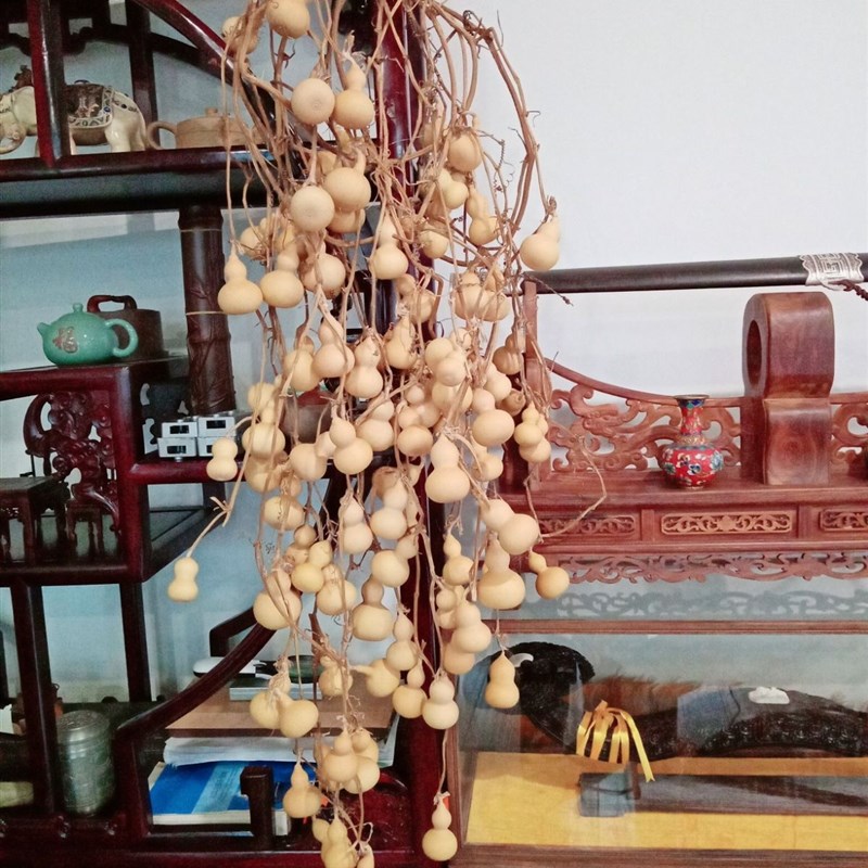 速发BG54直销手-文玩连枝连藤手捻小葫芦工艺品挂件4把6厘米镇宅