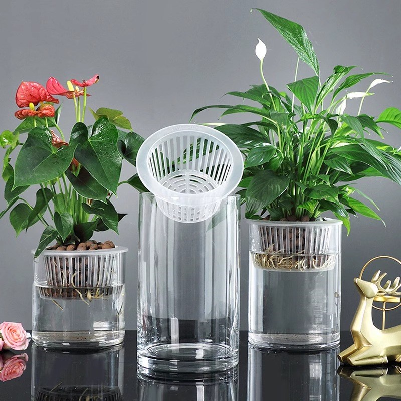 速发水培植物玻璃瓶透明直筒客厅花瓶水养绿萝白掌玻璃空器定植篮