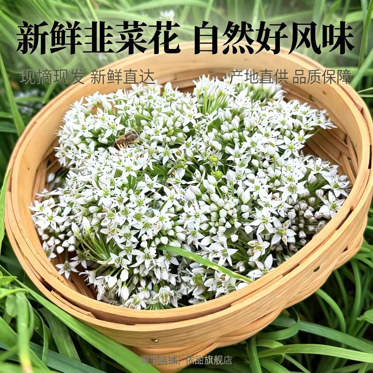 山东韭菜花新鲜韭花现摘韭菜花骨朵苞韭菜花蕾食用韭花新鲜包邮