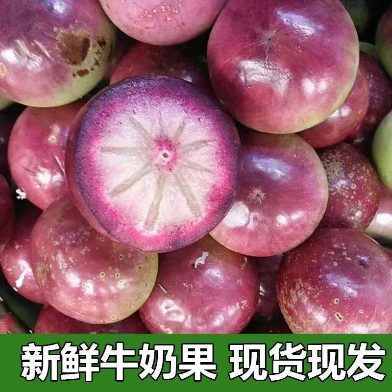 顺丰现摘紫色牛奶果星苹果紫海星时令当季新鲜水果大果整箱包邮,水产肉类/新鲜蔬果/熟食,其它,淘宝优惠券,粉丝福利购,淘宝优惠卷