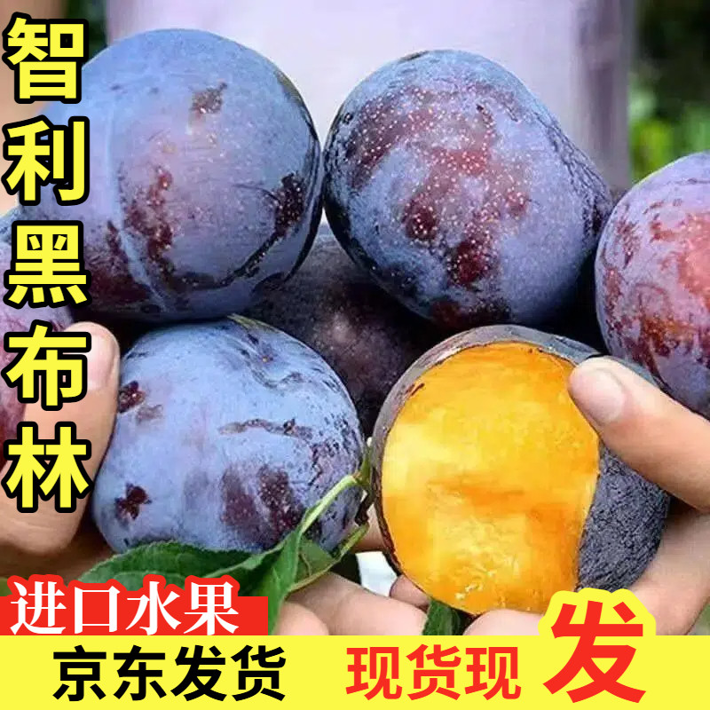 进口智利黑布林新鲜李子水果脆李黑金刚恐龙蛋孕妇水果酸甜多汁