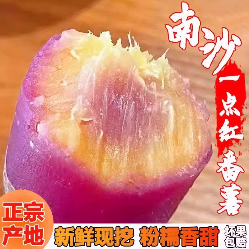 正宗广州南沙一点红番薯新鲜现挖冰淇淋红薯板栗薯自种蜜薯地瓜