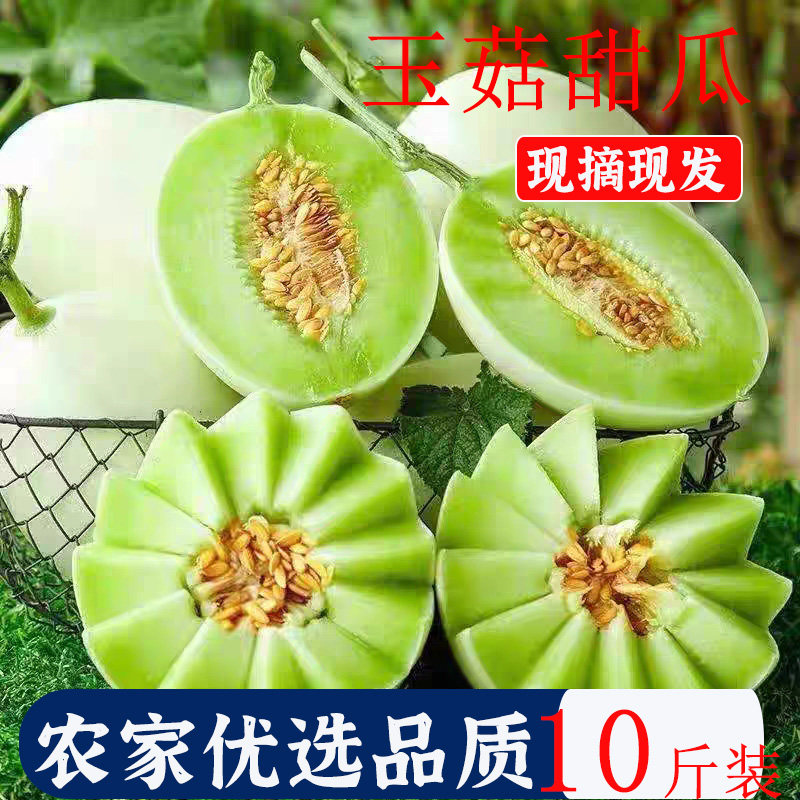 正宗上海南汇玉菇甜瓜10斤新鲜冰激淋香瓜当季水果女冰淇淋蜜瓜