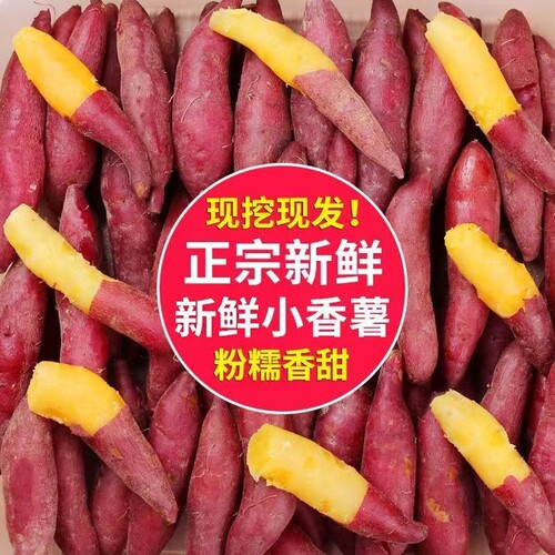 临安天目山正宗小香薯地瓜番