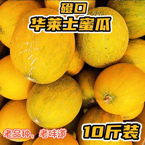 磴口华莱士蜜瓜巴盟特产黄金瓜黄河蜜瓜网纹超甜香瓜包邮批发