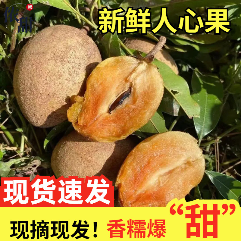 广西人心果新鲜现摘特大果当季孕妇热带稀罕见水果5斤海南人参果,水产肉类/新鲜蔬果/熟食,人参果,淘宝优惠券,粉丝福利购,淘宝优惠卷